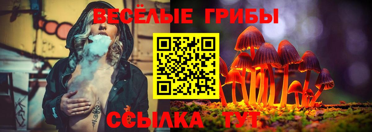 Галлюциногенные грибы MAGIC MUSHROOMS Прокопьевск